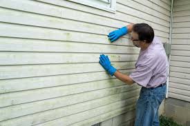 Best Vinyl Siding Installation  in Victoria, KS